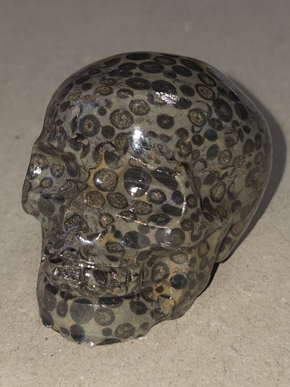 Leopard Jasper crystal carved skull stone sculpture decor Home Accent